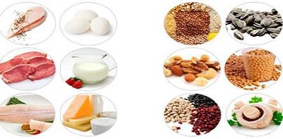 Eating protein foods to lose weight